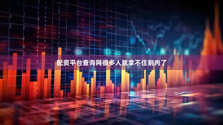 配资平台查询网很多人就拿不住割肉了