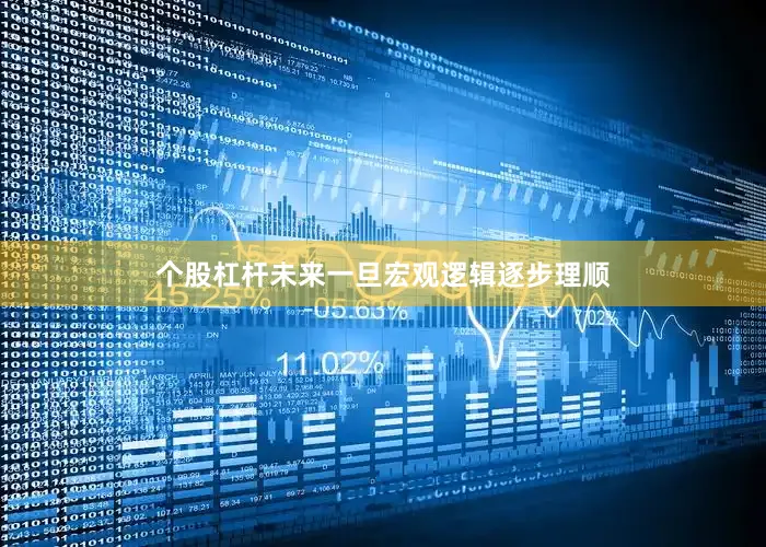 个股杠杆未来一旦宏观逻辑逐步理顺